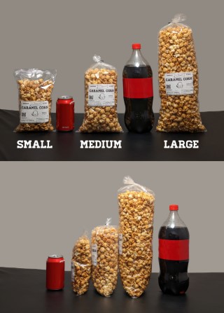 Bag Size Compare